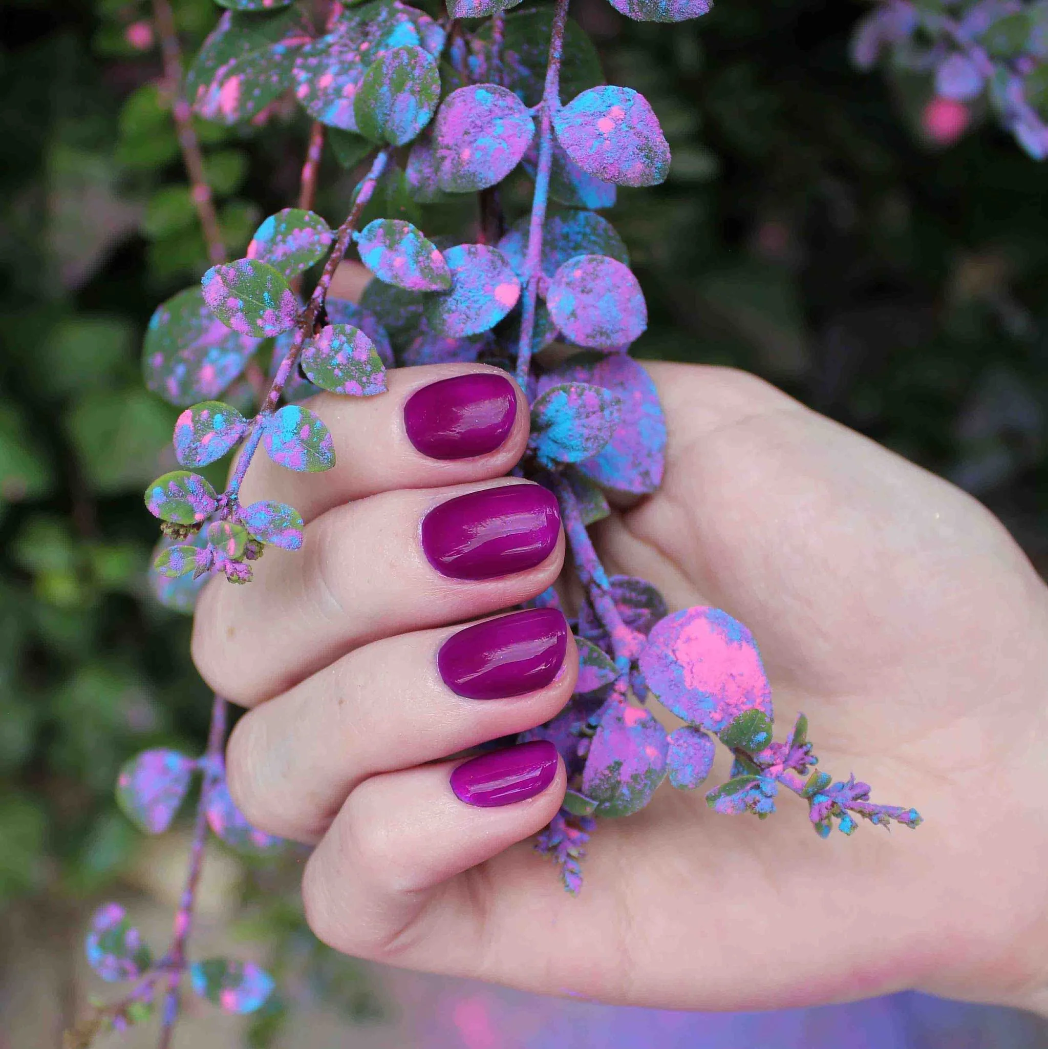 091  Evo Colour Diana - Image 3