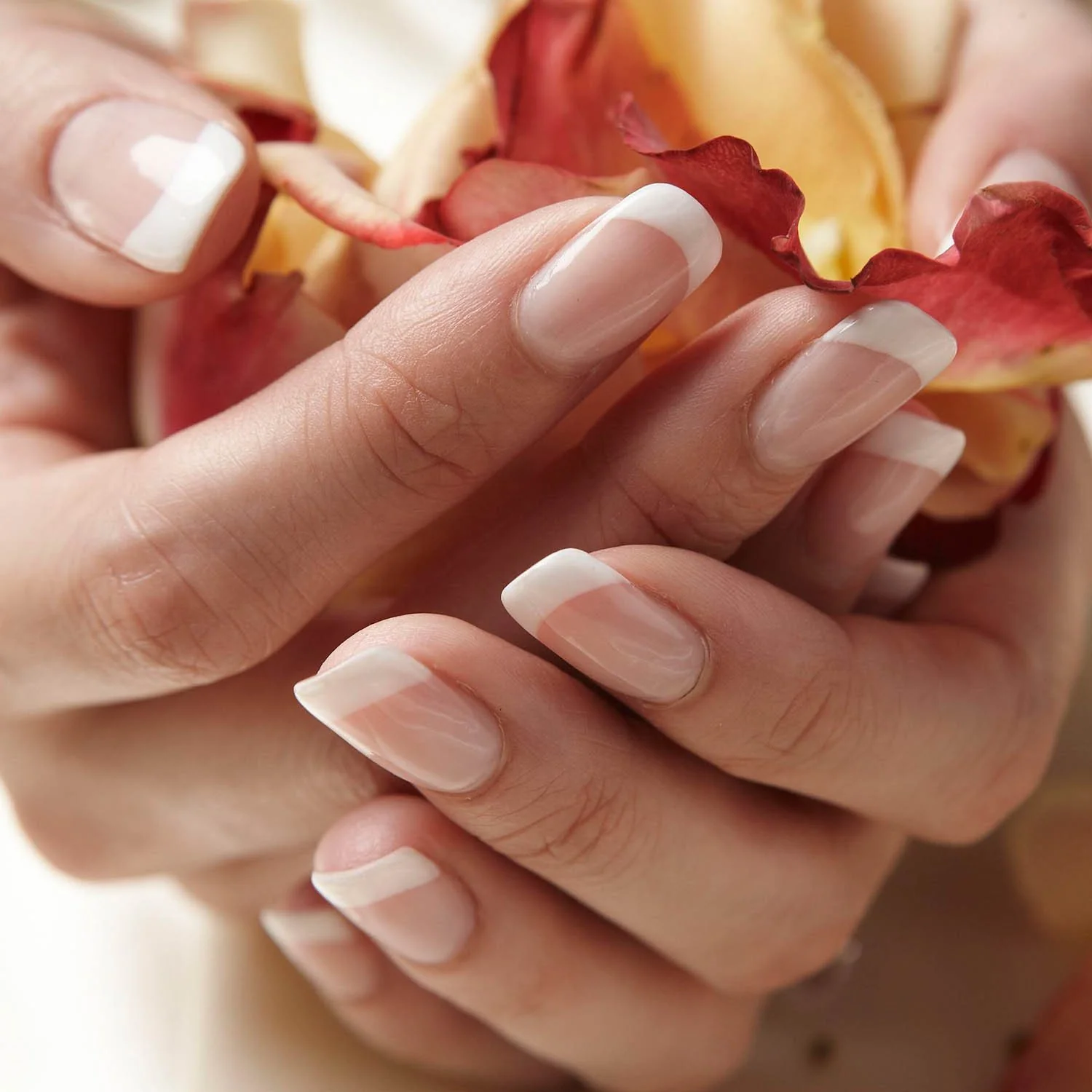 No. 1 French White Gemini Nourishing Polish - Image 3